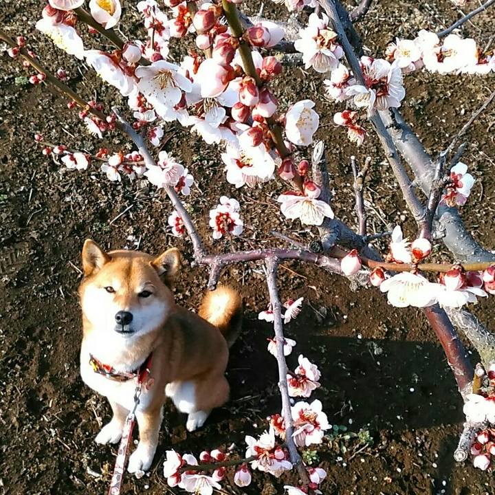 96438c65 43a9 46e4 b8a6 66723ca42750 1551424392527