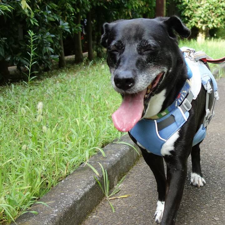 9643b203 e83f 4343 b10f bc366b115958 1723162348304