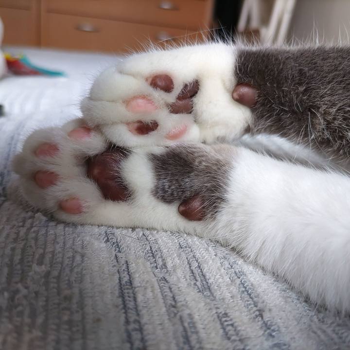 9643c69b ff03 4eb9 a2ae bdf80d04cd2f 1716426392759