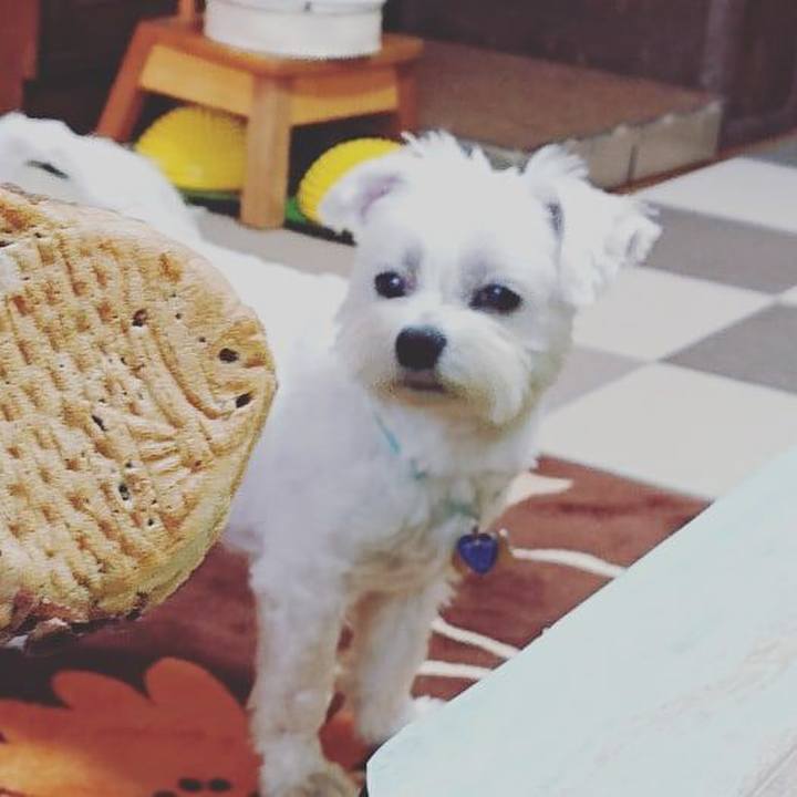 964407e2 075e 4992 9e1f 7b2ac0a7d2e2 1636872989339