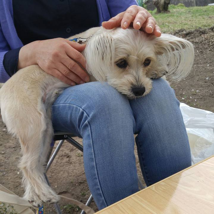 96441914 ed49 46b5 86a2 344f30951a5e 1522665152952