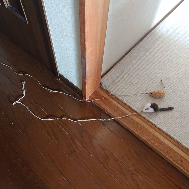 96441c87 d148 4fcc 9a62 05fecc9bd365 1649561774678