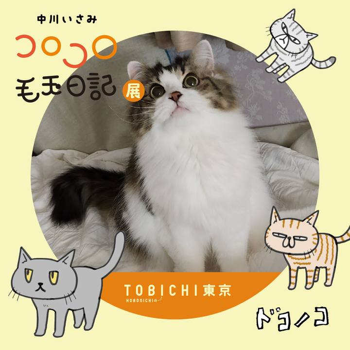 96442412 8ab9 41bb 855d da3b2d2d03a6 1740173102491