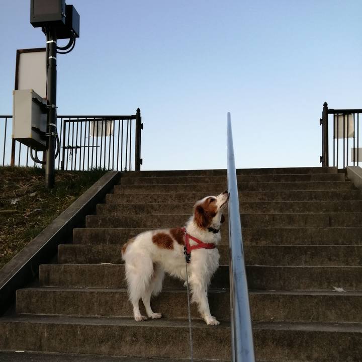 964430b8 6ac0 4c58 8a07 0dd68e5cca8d 1613783243875