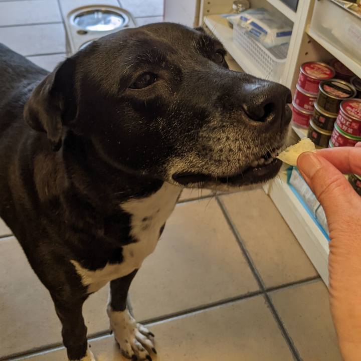 964441e6 590c 448d 9a7c 702680905398 1694860742244