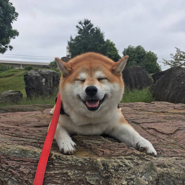 9644456e 28ba 463e a473 5c87120d03d8 1602469714932