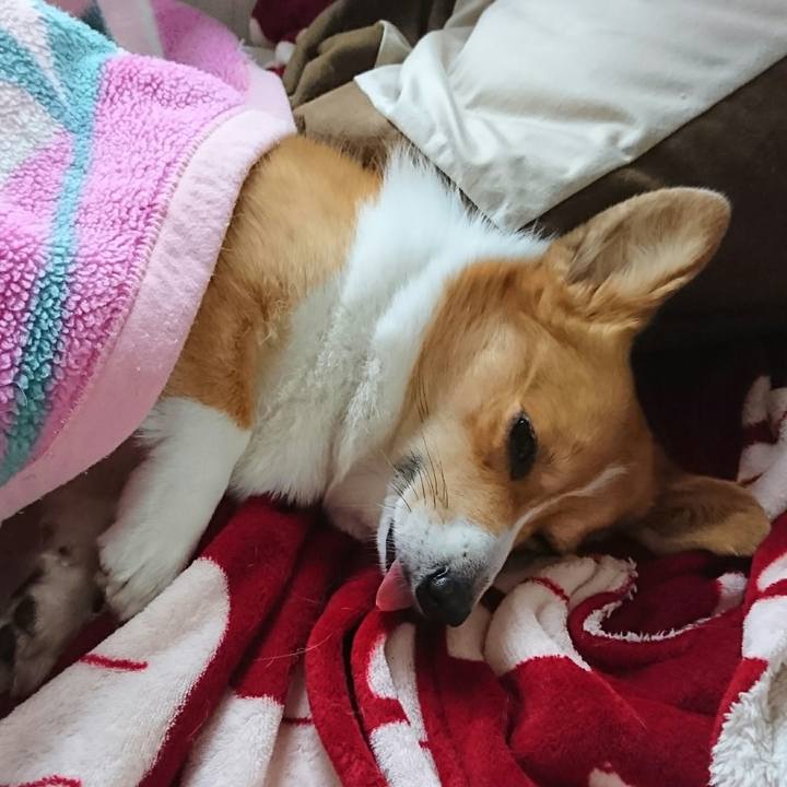 96444bd9 4067 432b a65f 5407baae947c 1512020787486