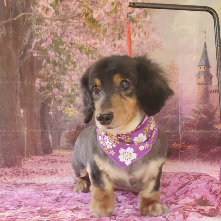 9644529d 99b7 4586 a26b 717b554d6894 1583616277524