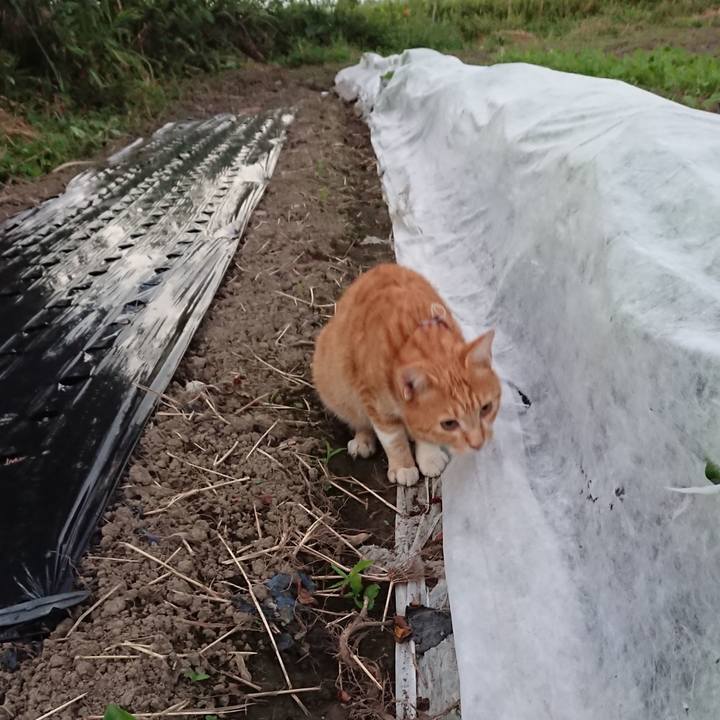 96445e1e e25e 4264 b5c7 257333ef0722 1568366641261