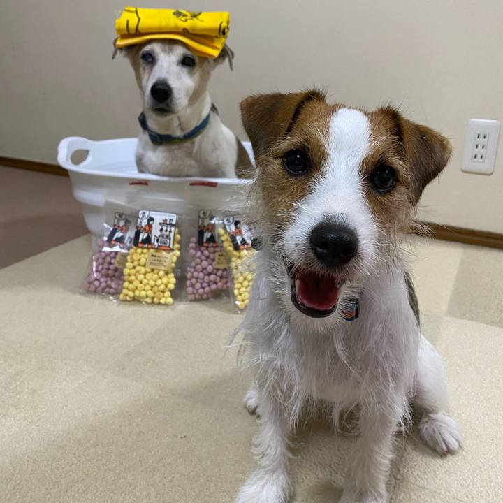 9644623d 8bb4 4fb5 a665 e7865a7aa56f 1664799715072