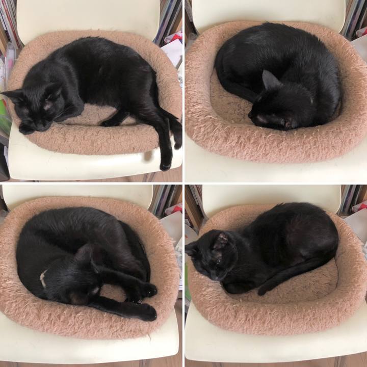 96447343 c79c 45bd 8c7c 32a9a1b85bef 1621648727452