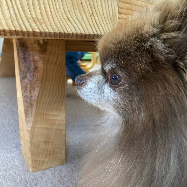 96447621 ef14 41fb bfe4 f5b967672422 1670366308777