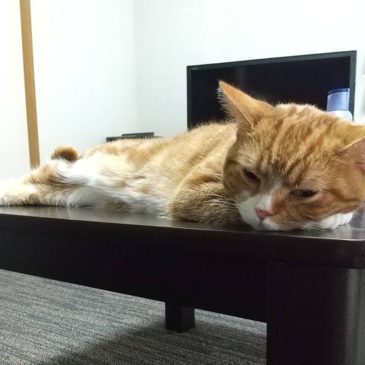 96448e3e 902c 419e 9344 4b7f98f7dd0e 1641791051651