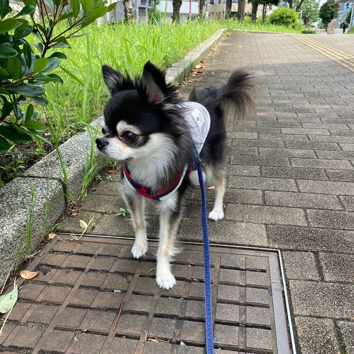 96449d8f 611a 4e83 a18f 82b395cda023 1717257609242