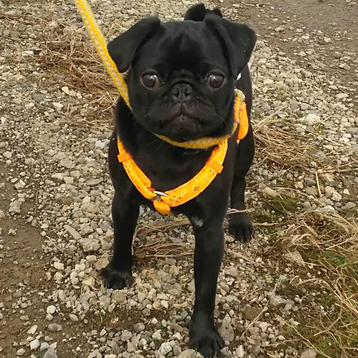 9644a277 1aaa 4da1 bf5d e3cfe5d3e567 1529153078406