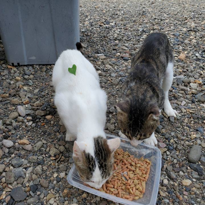 96450fb8 763d 437c bd7c 6d01cefa0cfa 1694264763174