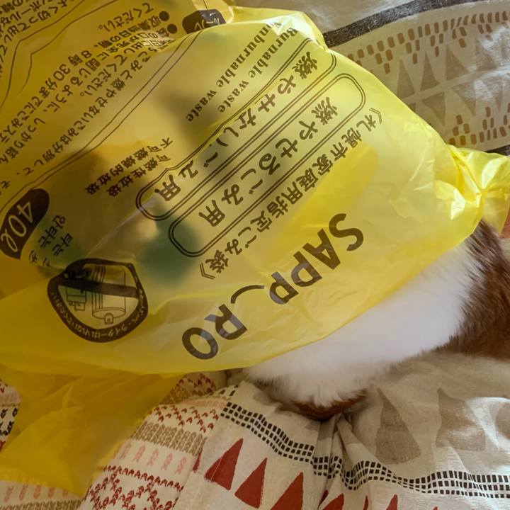 96459185 4adf 4649 b5d1 59d177e2d360 1569650423355