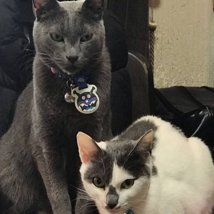 9645dff9 6f37 4edf 856b 4119bf6de421 1554677951880