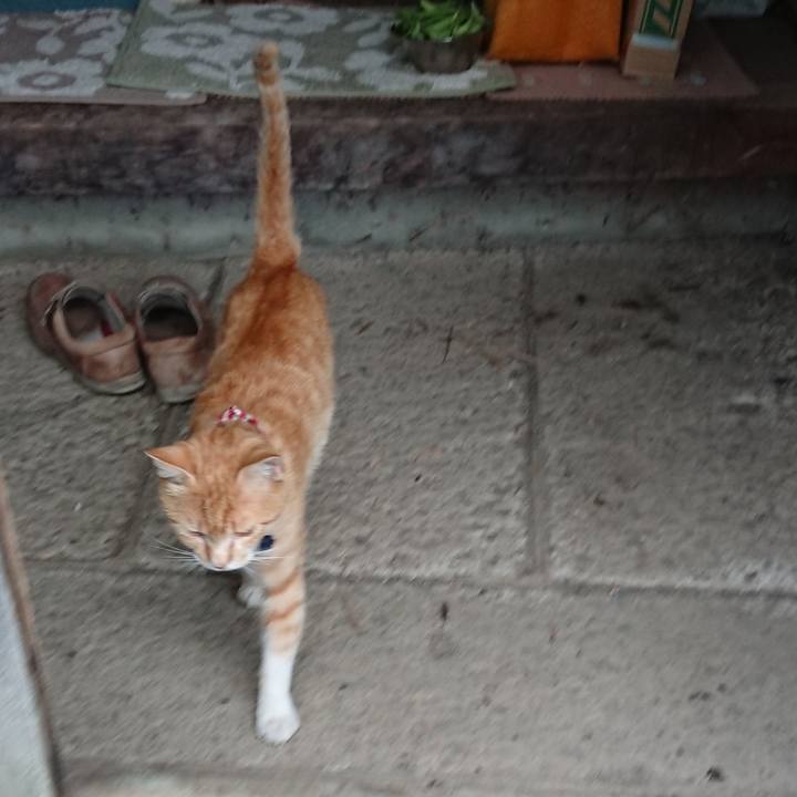 96466e18 98e1 47ab 97d9 3ccc0cc8c71c 1560764260672