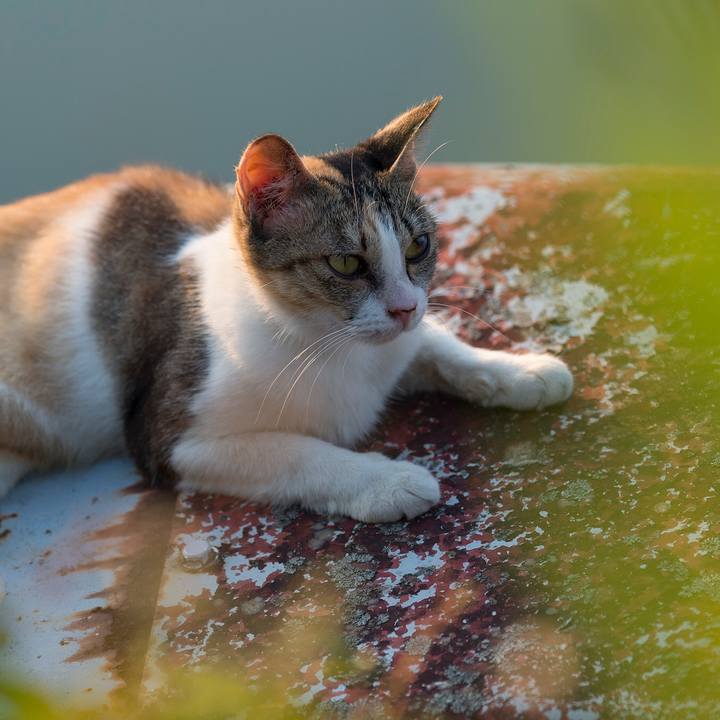 964677d4 14d9 40af 92d7 82f1c9a39887 1533552495106