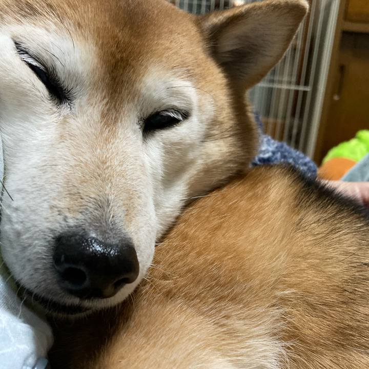 96467e2c c36a 4ae0 b617 209b0f9e6106 1737974002694