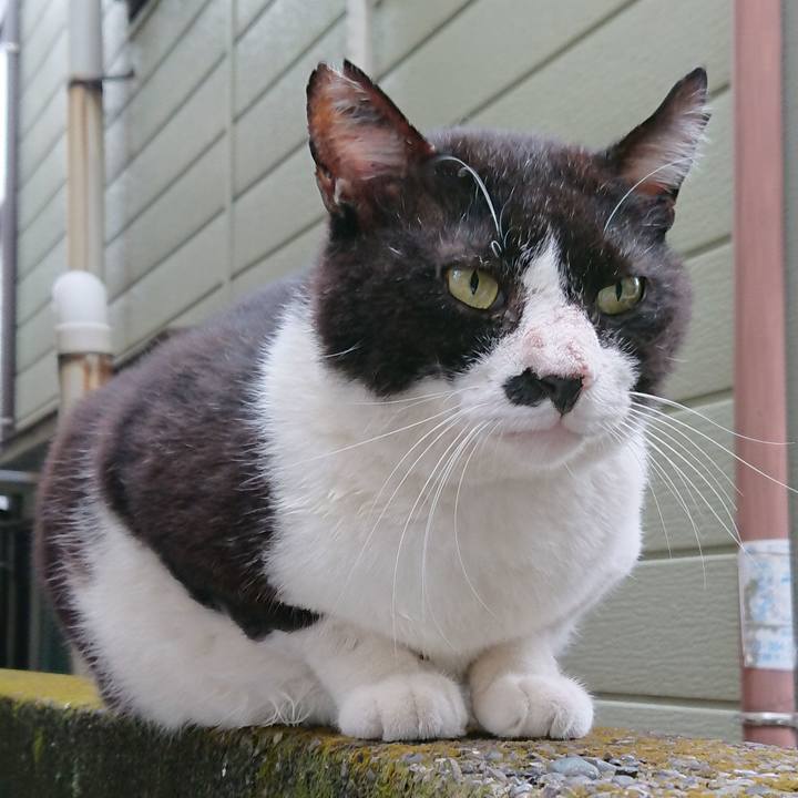 964698fc 3822 49aa bf7a b1bb29f7dc0b 1536622168036