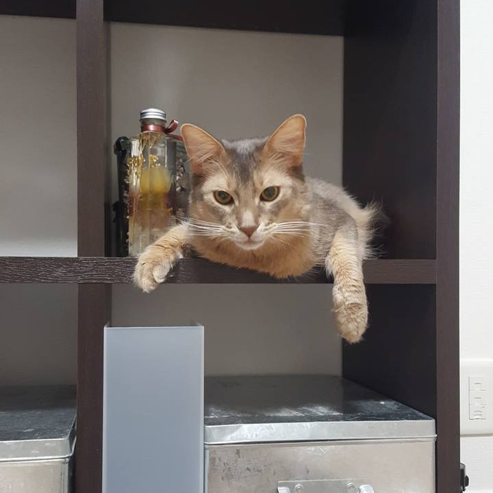 9646cd8a 2910 4bb0 b10d eda81d500427 1582117397433