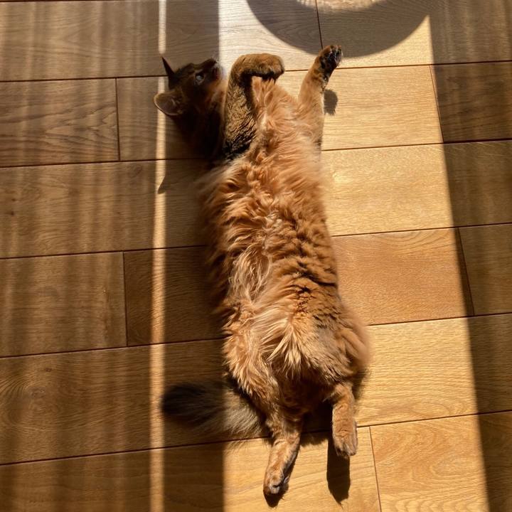 9646e916 2e53 4a78 85e4 b6bdc521a3ef 1613447804824