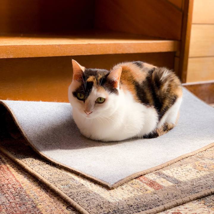 964715af eccd 402d 96cb dcda1ff322c2 1563930643822