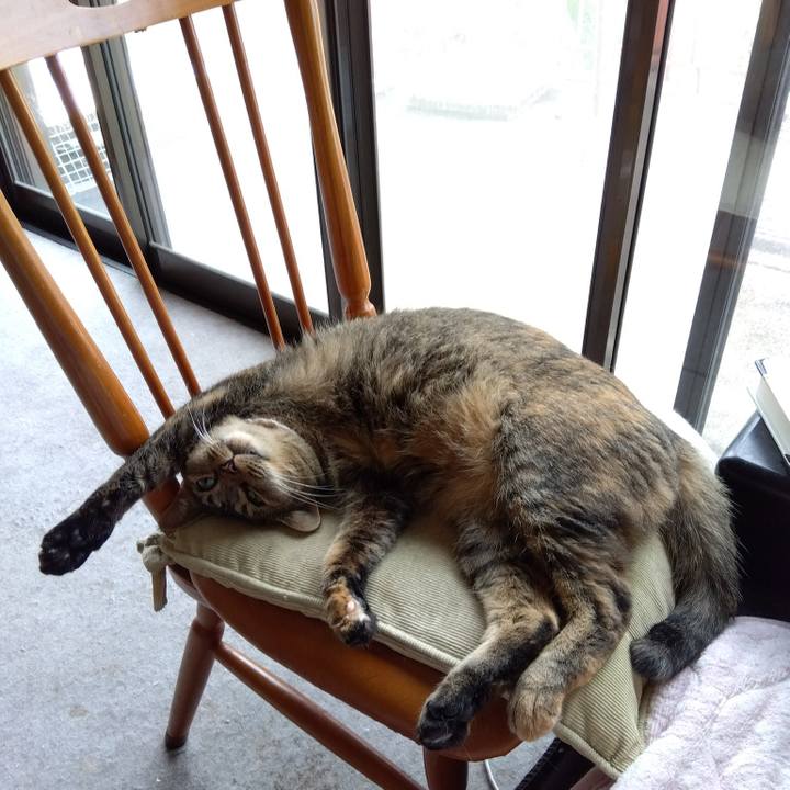 9647279a 7ef6 4bd0 b87d 8e2341e0a099 1659915885197