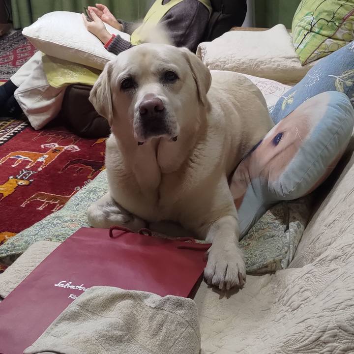 96472f30 122a 4772 95fe 6866ecd745fa 1677763747047