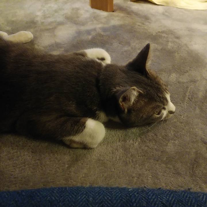 964739a8 7180 4f65 ab23 4e927a6c4ee8 1589806044276