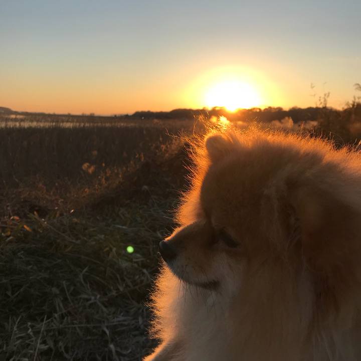 96474916 2ace 4608 a2dd ce819d906e9f 1546307648648