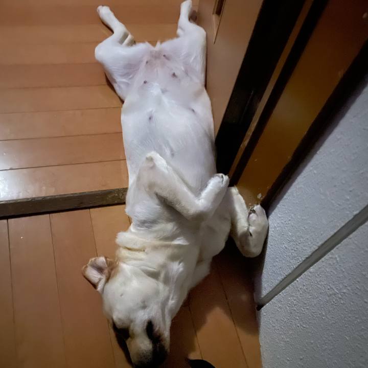 96476021 de3d 42df 917a ac4dd1436abf 1654654081224