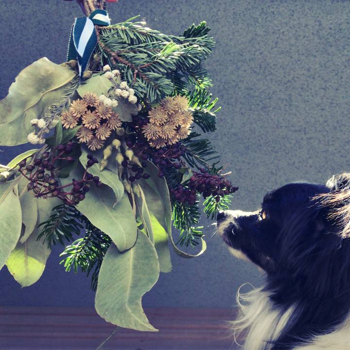 964789c0 3eb5 46b5 8a8f 3095a8524063 1513478647353