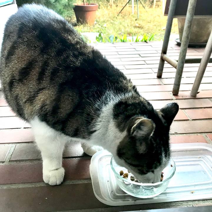 96478b8e 8dfb 408a 8f01 73fb6e20da19 1512789725696