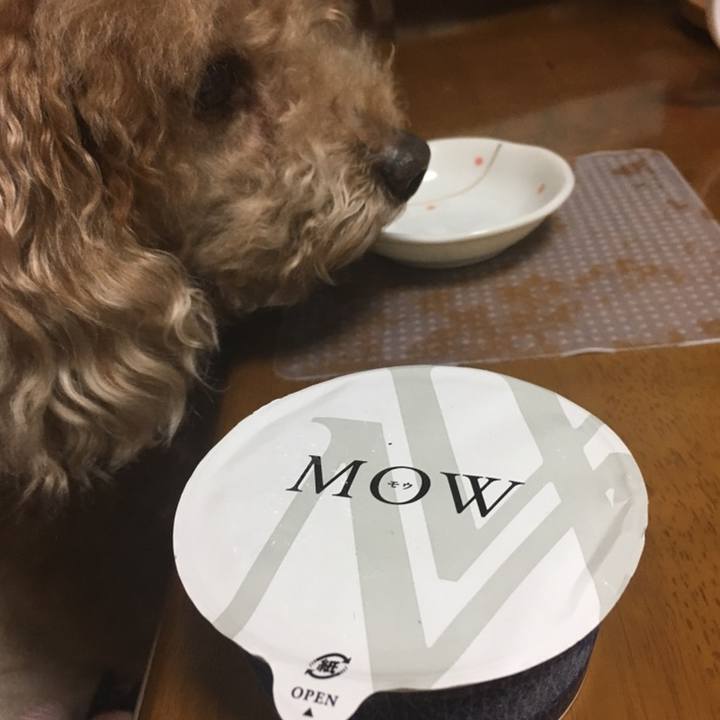 9647a6f6 fab4 48a0 9eb3 015f0c4fda7e 1557494143661