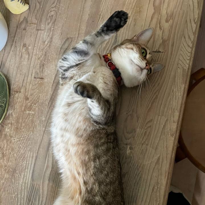 9647ac16 cf22 4b02 9066 95796a723bdf 1693696392901