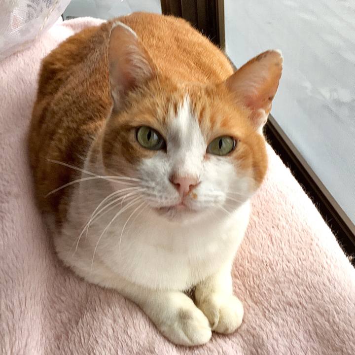 9647b323 58c5 46ff bca3 da35f869d3a3 1576048794884