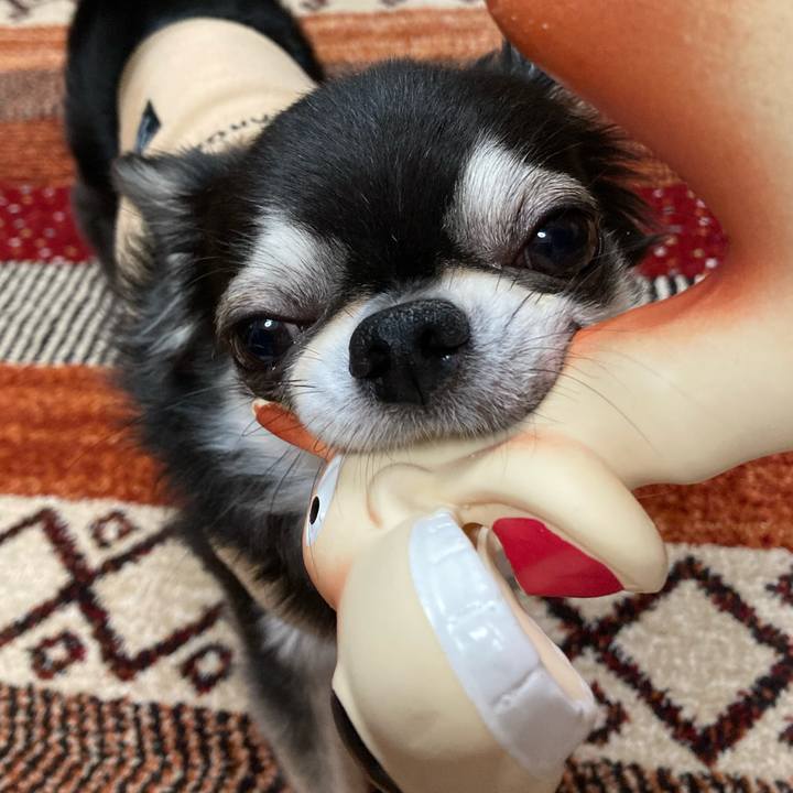 9647c475 191a 4e6d aebb afa35b4b078f 1673103918382