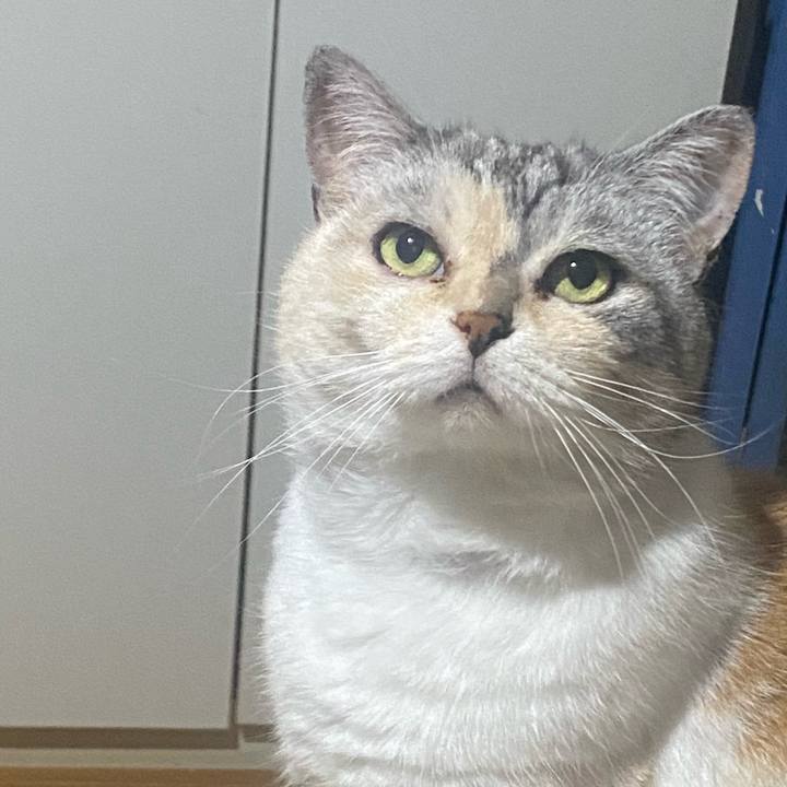 9647c90c c02c 46e7 8e5e dd4e6063259e 1718117169826