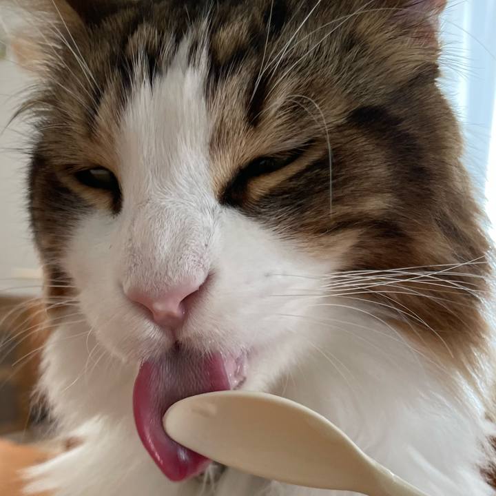 9647e596 7dcd 48ef 94d6 896cf88c1195 1661030548872