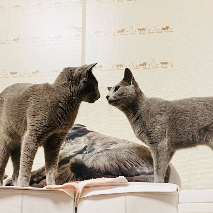 9647f03a 00b0 429a 8a6a 41041e6589ab 1646112129076