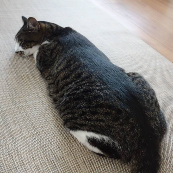 96480d90 af57 426b 8dc0 0431dd2ac1b8 1761553725125