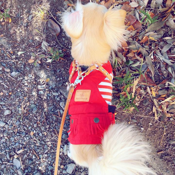 964810dd e7c2 4080 b019 bea8cbcc60be 1705050920605