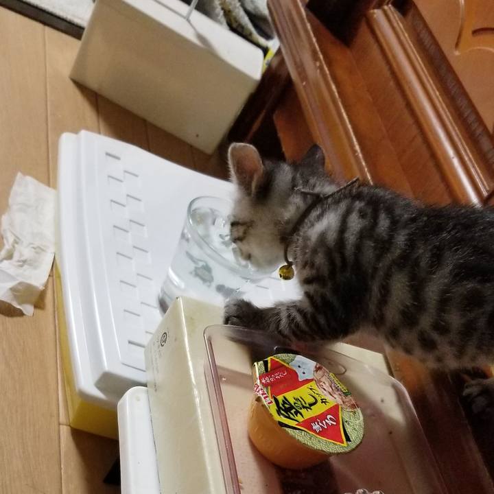 96482885 138f 4439 9732 bfc70d08a7e2 1662651277431