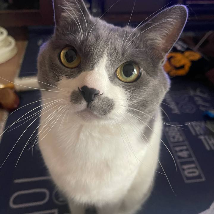 96485697 2459 4242 910a 29b023780dc1 1705807637018