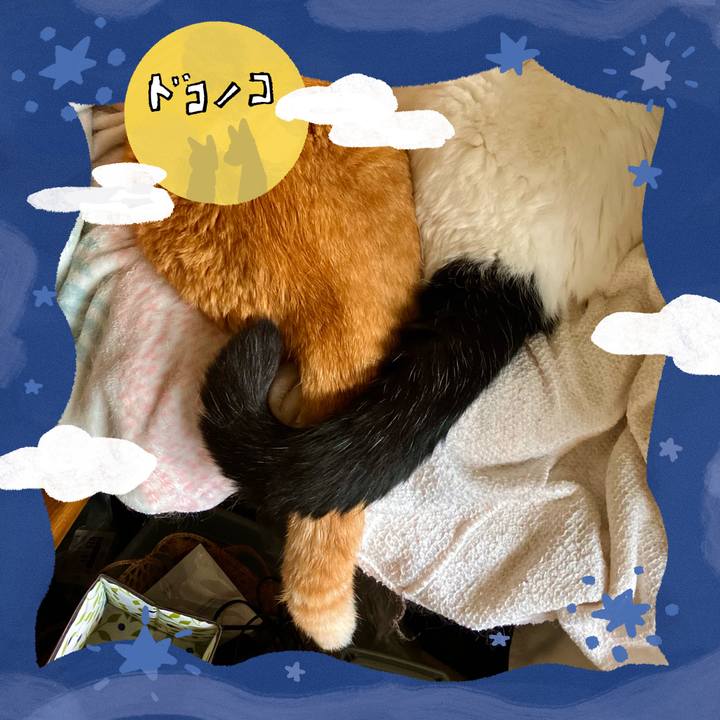 96486039 d548 4ab8 9cc1 edc803a586de 1727342814775