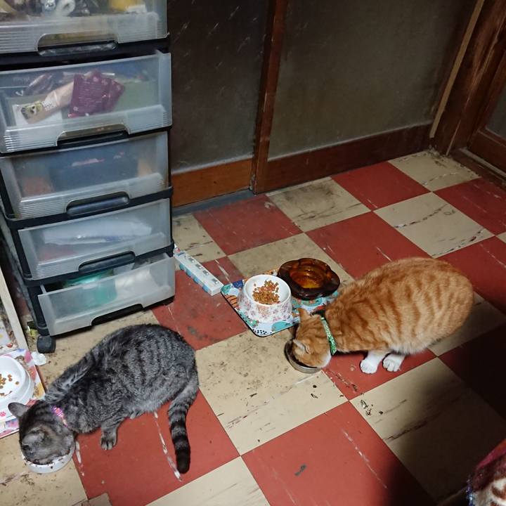 964861c2 6025 49d2 a022 e5e4ecd283de 1584825338575