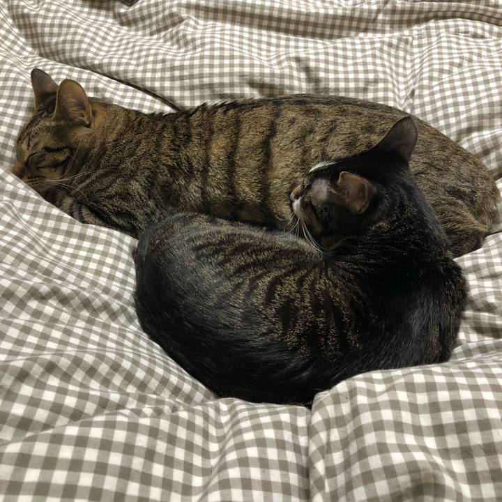 96489b81 5c7a 4eb3 a6b4 2dfb7ef35ee4 1515602015896